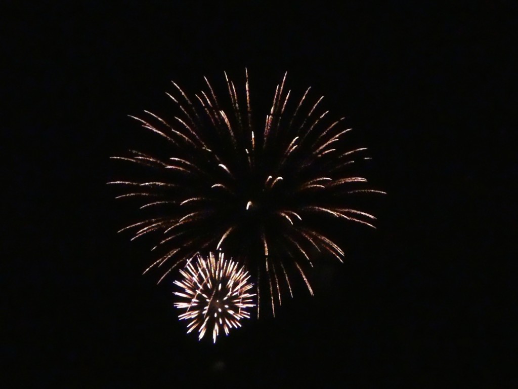 P1010776